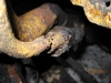 Corroded pipe